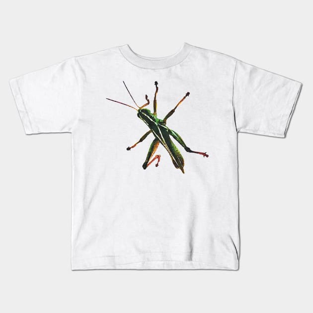 Green Grasshopper Climbing Watercolor Style Kids T-Shirt by Griffelkinn